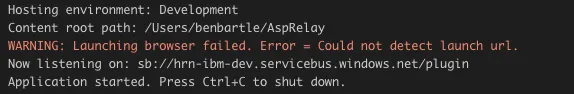 VS Code Console